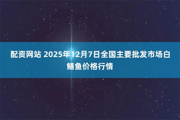 配资网站 2025年12月7日全国主要批发市场白鳝鱼价格行情