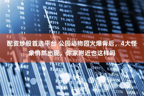 配资炒股首选平台 公园动物园火爆背后，4大怪象悄然出现，你家附近也这样吗